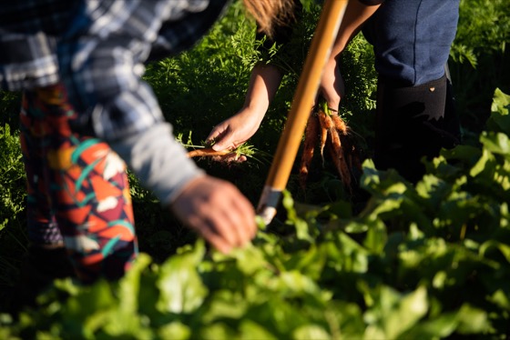 Five Simple Ways to Save Money on Food