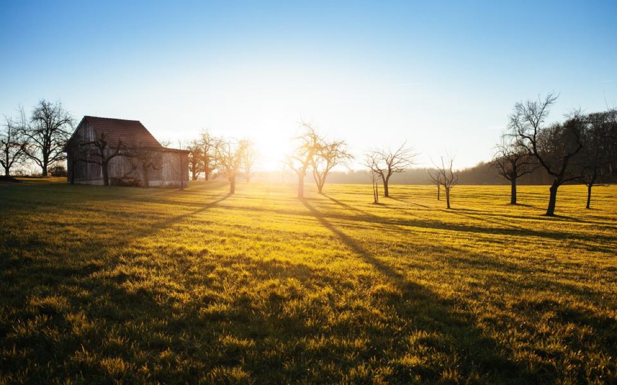 How to Wake Up Early