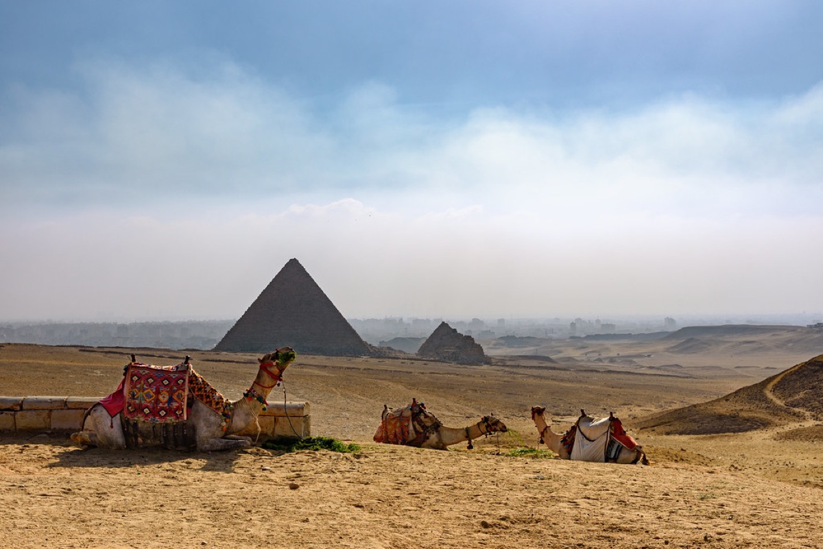 The Pyramids of Giza
